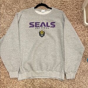 San Diego Gray Sweater